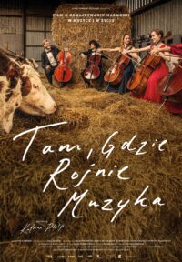 Tam, gdzie rośnie muzyka